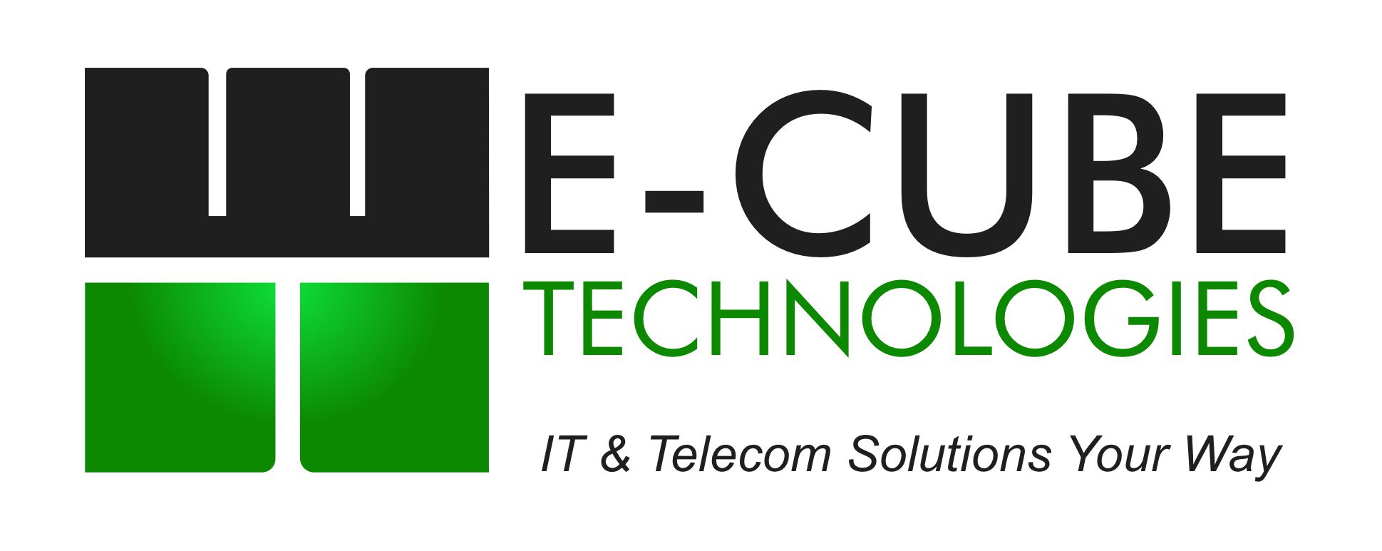 E-Cube Technologies logo